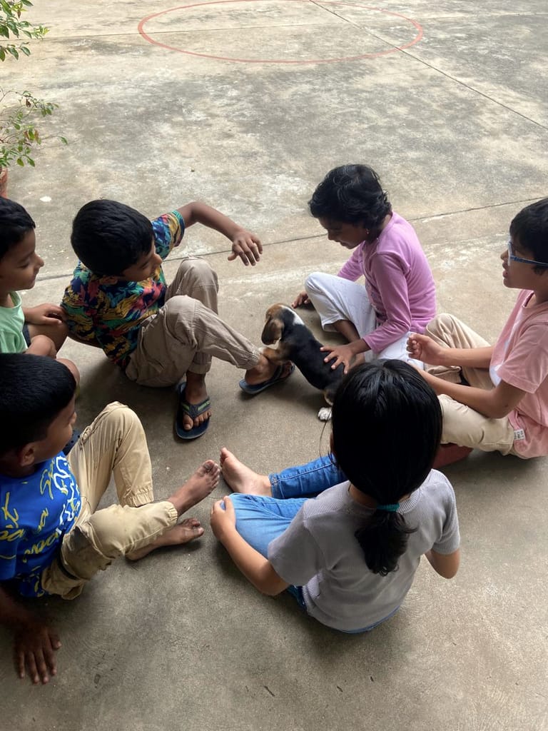 Children sitting around a puppy outdoors.